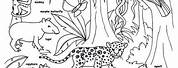 Endangered Animals of the Rainforest Coloring Pages