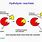 Enzyme Hydrolysis