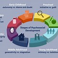 Erikson's Stages of Psychosocial Development