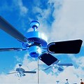 Funny Ceiling Fan