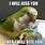 Funny Parrot Memes