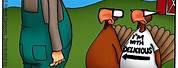 Funny Thanksgiving Turkey Cartoons