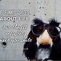 Funny Wisdom Quotes About Life