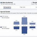 Facebook Target Audience Demographics