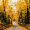 Fall Foliage Road Trip CT