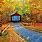 Fall Foliage Wallpaper for Desktop