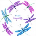 Fall Is Here Dragonfly Clip Art