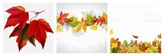 Fall Leaf Clip Art Email Signature