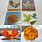 Fall Leaf Crafts for Adults