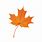 Fall Leaf Vector