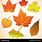 Fall Leaves Vector