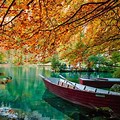 Fall Leaves and Lake Background Wallpaper