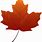 Fall Maple Leaf Clip Art