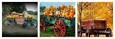 Fall Pictures of Old Farm Wagons