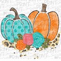 Fall Pumpkin Clip Art Teal Orange