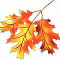 Falling Leaf Clip Art No Background