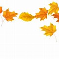 Falling Leaves Transparent Background