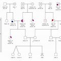 Family Health Portrait Genogram