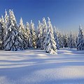 Fantastic Nature Wallpaper Winter