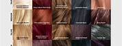 Feria L'Oreal Hair Color Chart