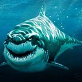 Finding Nemo Bruce Shark Concept Art