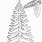 Fir Tree Coloring Page