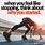 Fitness Workout Quotes