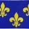 Fleur De Lis Blue Yellow