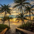 Florida Landscape Window View