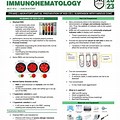 Flowchart Preparation of Red Cell Suspension