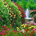 Flower Garden Wallpaper HD Desktop