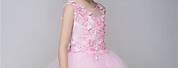 Flower Girl Formal Dress Pink