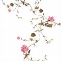 Flowers On Vines Clip Art Transparent Background