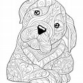 Fluffy Adult Dog Coloring Pages