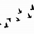 Flying Cartoon Bird Silhouette