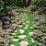 Foot Path with Plants