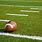 Football Field Turf Grass