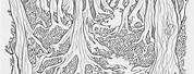 Forest Fog Art Coloring Pages