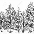 Forest Picture Clip Art Black and White