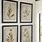 Framed Wall Art Botanical