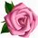 Free Clip Art Pink Roses