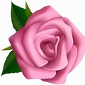 Free Clip Art Pink Roses Flowers