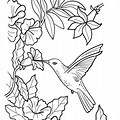 Free Adult Coloring Pages Hummingbird