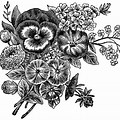 Free Black and White Clip Art Flowers