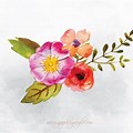 Free Graphic Design Watercolor Clip Art