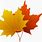 Free Maple Leaf Images Clip Art