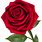 Free Red Rose PNG