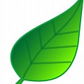 Free Tree Leaf Clip Art