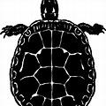 Freshwater Turtle Clip Art Black and White