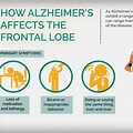 Frontal Lobe Alzheimer's Disease